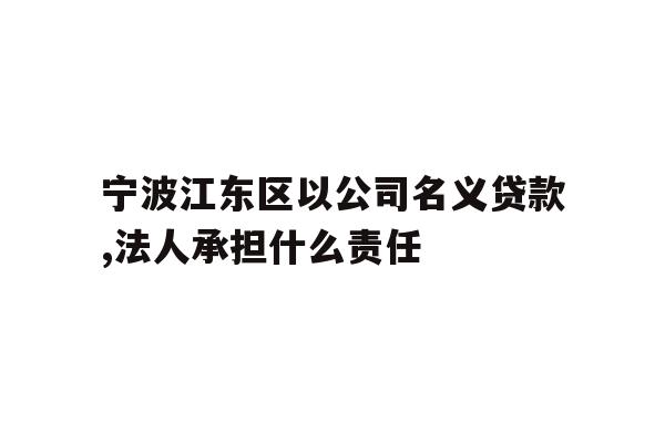 宁波江东区以公司名义贷款,法人承担什么责任