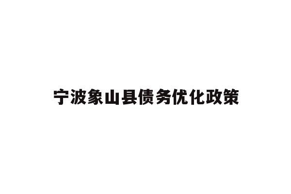 宁波象山县债务优化政策