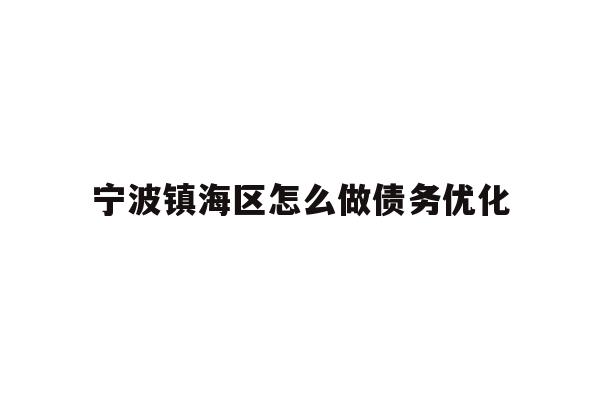 宁波镇海区怎么做债务优化