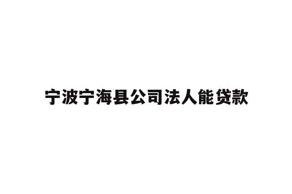 宁波宁海县公司法人能贷款