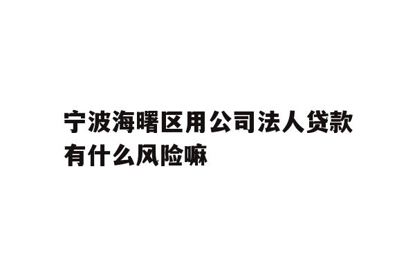 宁波海曙区用公司法人贷款有什么风险嘛