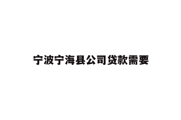 宁波宁海县公司贷款需要