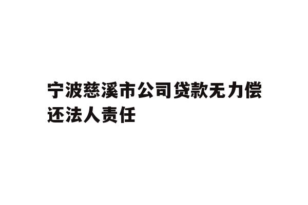 宁波慈溪市公司贷款无力偿还法人责任
