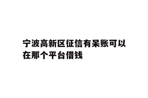 详细阅读:宁波高新区征信有呆账可以在那个平台借钱 宁波高新区征信有呆账可以在那个平台借钱