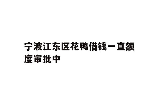 宁波江东区花鸭借钱一直额度审批中