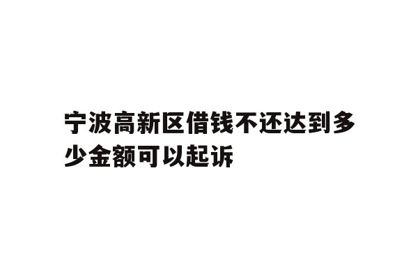 宁波高新区借钱不还达到多少金额可以起诉