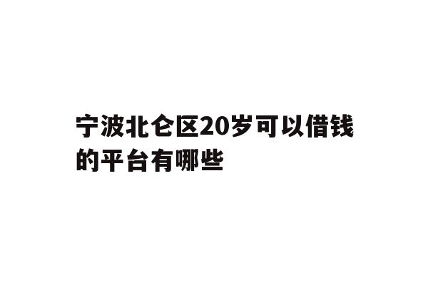 宁波北仑区20岁可以借钱的平台有哪些