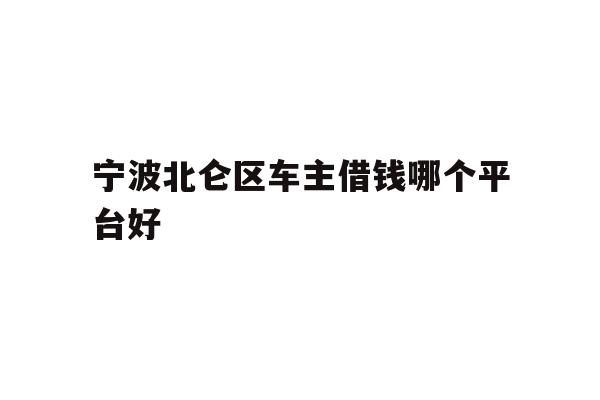 宁波北仑区车主借钱哪个平台好