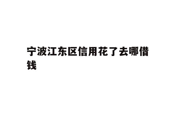 宁波江东区信用花了去哪借钱