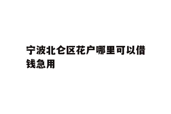 详细阅读:宁波北仑区花户哪里可以借钱急用 宁波北仑区花户哪里可以借钱急用