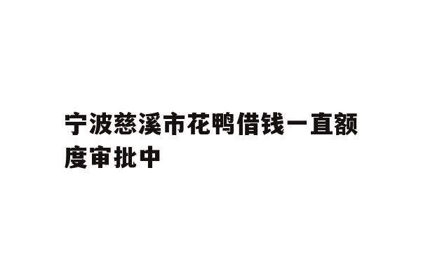 宁波慈溪市花鸭借钱一直额度审批中