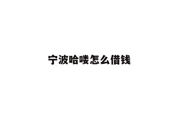 宁波哈喽怎么借钱