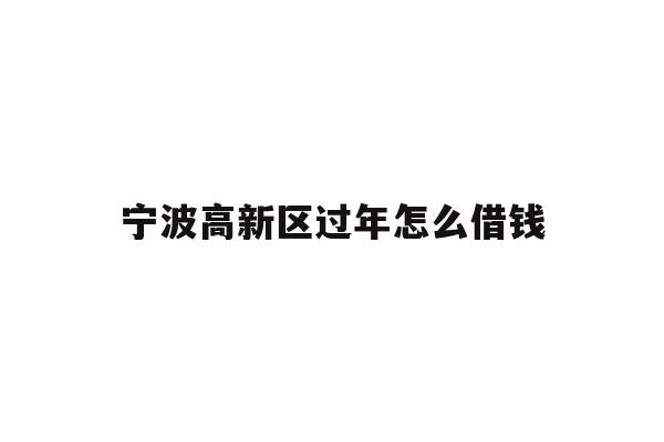 宁波高新区过年怎么借钱